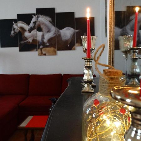 Studio Sequoia Au Pied Du Chateau Saumur Dış mekan fotoğraf