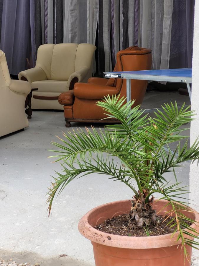 Studio Sequoia Au Pied Du Chateau Saumur Dış mekan fotoğraf