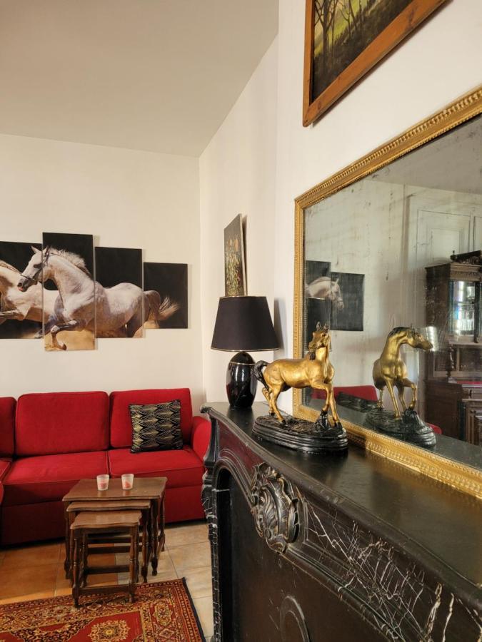 Studio Sequoia Au Pied Du Chateau Saumur Dış mekan fotoğraf